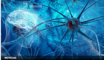 Avance científico hacia la inmortalidad: recuperan el cerebro de un animal tras ser congelado 