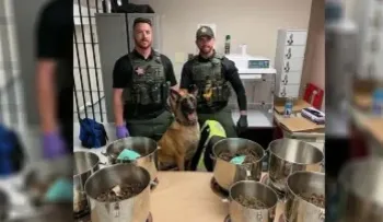 Perra policía descubre casi 4.000 kilos de marihuana en ollas a presión