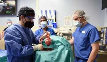 Realizan trasplante de un corazón de cerdo a un hombre en EE.UU.