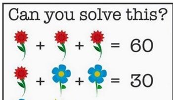 El desafío matemático con flores que vuelve loco a Internet