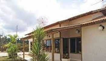 Descubre el secreto: ¡Coloca eucalipto en varios lugares de tu casa para mejorar tu salud!