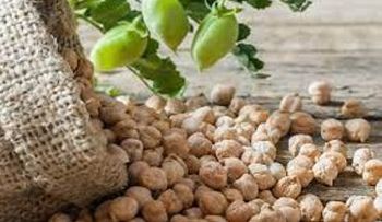 The Remedy That Defeats Cholesterol and Triglycerides