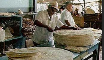 Productores de casabe piden levantar prohibición trasiego de madera