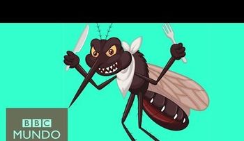 Conoce la razón: Por qué los mosquitos se cogen contigo (VIDEO)