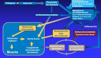 La sepsis, una infección de la sangre que puede ser mortal; es la causa más frecuente de muerte en el MUNDO