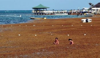 170 millones de personas enferman al año por bañarse en mares contaminados
