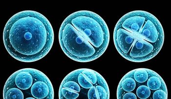  Científicos logran resultados positivos con células madres para enfermedades incurables 