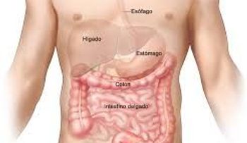 Cáncer de colon: qué es; causas y tratamientos (VIDEO)