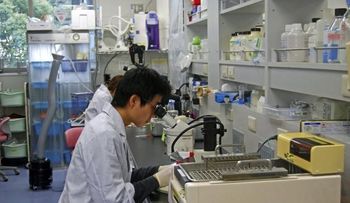 Descubren un método para acelerar la regeneración de células del corazón