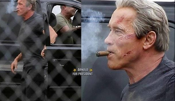 Schwarzenegger vuelve a ser Terminator