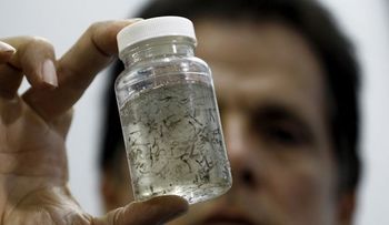 Angustia rodea a â??niños del Zikaâ? un año después del brote de microcefalia en Brasil