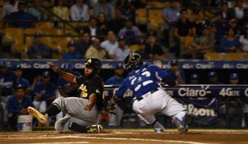 Los Tigres del Licey derrotan a las Águilas y clasifican a semifinales