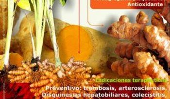 Variedad de remedios con curcuma  (Video) 