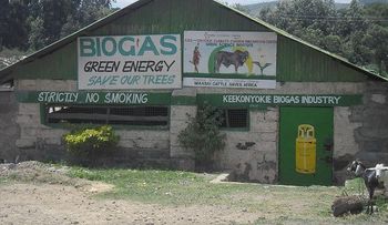 Sangre de los mataderos para producir energía limpia     