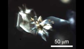 Japón da un paso más hacia robots moleculares propulsados por la luz (VIDEO)