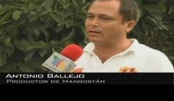 Video: Cura todas las enfermedades 