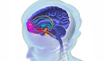 El cerebro en riesgo: ¿cuáles son los perjuicios de consumir drogas?