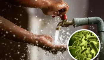 Brotes de cóleras amenazan a mil millones de personas en el mundo