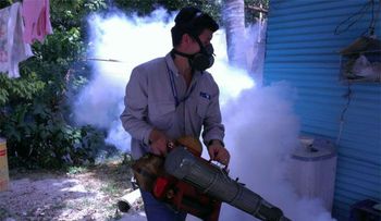 822 casos de chikungunya en Brasil 