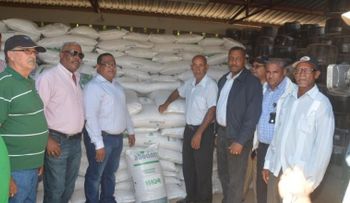Productores de café de Pedernales reciben mil 200 quintales de abono 