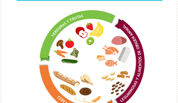 ¿Cómo hacer un almuerzo saludable? (Infografía)