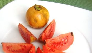 Guayaba: Jugos curativos y propiedades: una fruta llena de antioxidantes