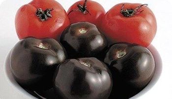 Tomates morados contra el cáncer 
