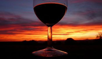 Ponen en duda los beneficios del vino tinto 