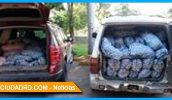 Ocupan 334 sacos de ajo trajeron de Haití