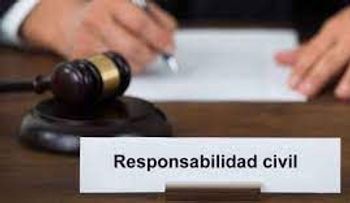 La Responsabilidad Civil 