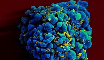 Nueva terapia para luchar contra el VIH y la hepatitis C