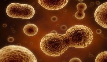 Científicos descubren la marihuana ayuda frenar crecimiento tumores cerebrales y de mama