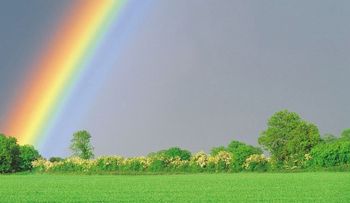 El amor color de un arcoíris