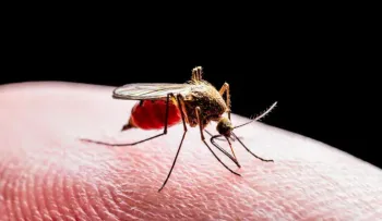 Cambio climático favorece expansión virus del Nilo por Europa