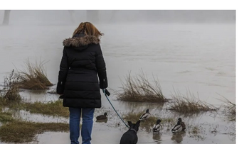 Pacientes con depresión resistente presentan biología única