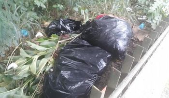 Comisión indagará  hallazgo de 7 piernas en el Mirador Norte