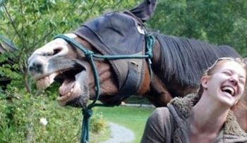 Los caballos y los humanos comparten expresiones faciales muy similares