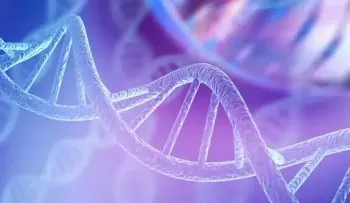 Identifican gen responsable de los defectos cardíacos en personas con síndrome de Down