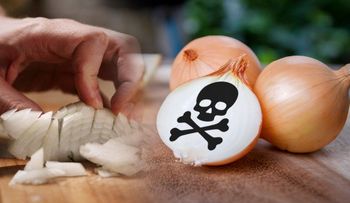 Si usa la cebolla otra vez, pone tu vida en peligro. Los restos recogen virus que son venenosos