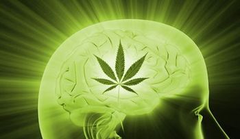 La 'adicción a la marihuana' podría ser real, sugiere un estudio.