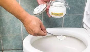 Ingredientes para que tu inodoro huela bien y estupendo para que lo usen las visitas
