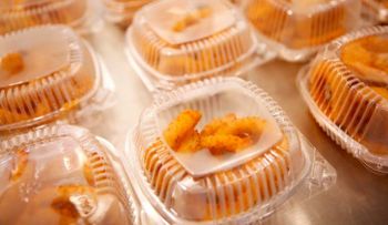 Comprobado: calentar comida en recipientes plásticos causa cáncer
