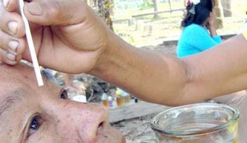 La miel y sus propiedades curativas (Video)