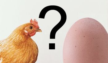 ¡Por Fin Misterio resuelto!¨ Científicos responden si fue antes el huevo o la gallina