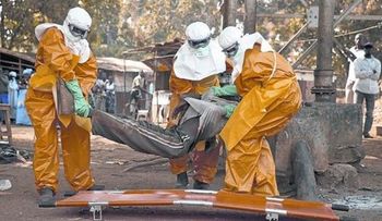 La OMS declara el fin de la epidemia de ébola en África
