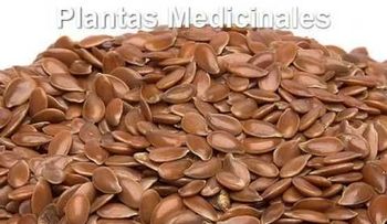 Remedio para inflamacion del estomago (Video)