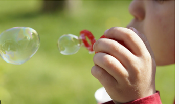 La fugacidad de lo efímero: Un reflejo de nuestra existencia