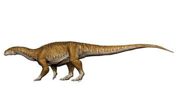 Descubren en Argentina el primer dinosaurio gigante que habitó la Tierra: hace más de 200 millones de años