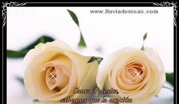 Rosas para el alma: ¡Decisiones!