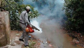 67% casos Chikungunya disminuyen en últimas seis semanas
